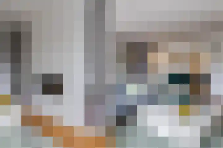 Hazeweide 5 Nieuwegein thumbnail 7