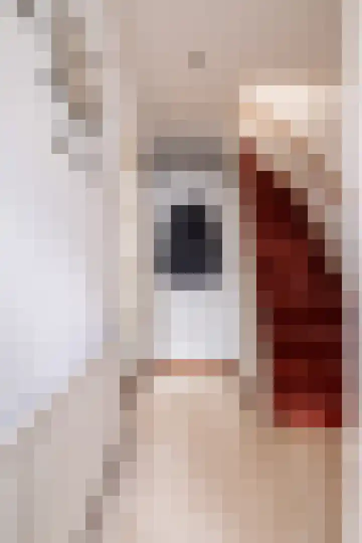 Hazzeleger 1 Hurdegaryp thumbnail 11