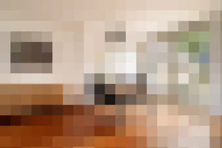 Hazzeleger 1 Hurdegaryp thumbnail 17