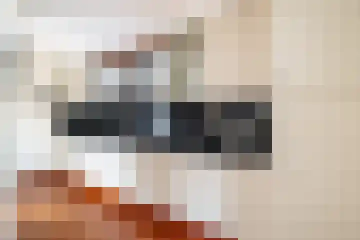 Hazzeleger 1 Hurdegaryp thumbnail 18