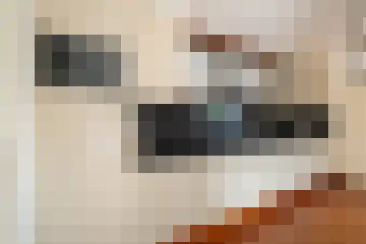 Hazzeleger 1 Hurdegaryp thumbnail 19