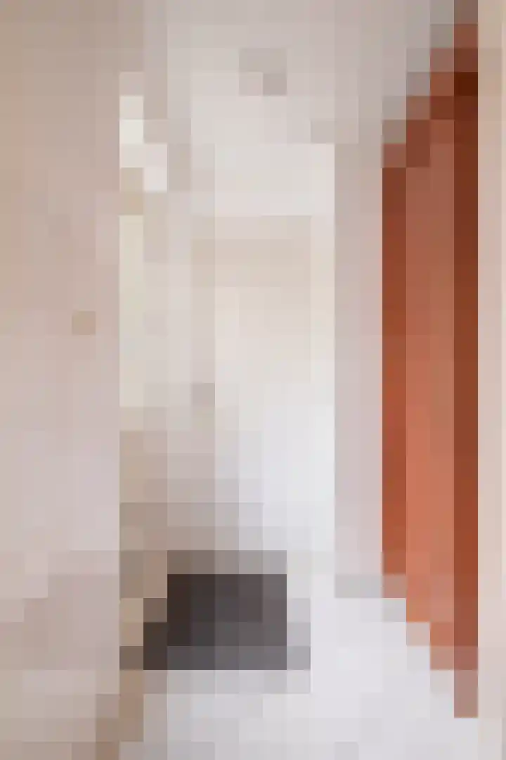 Hazzeleger 1 Hurdegaryp thumbnail 22