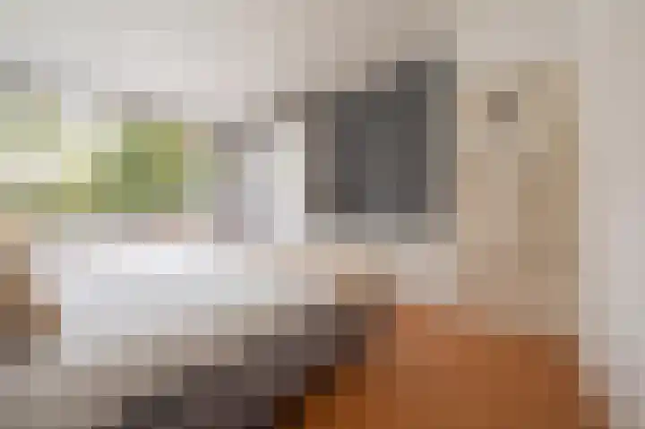 Hazzeleger 1 Hurdegaryp thumbnail 28