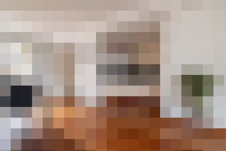 Hazzeleger 1 Hurdegaryp foto 3