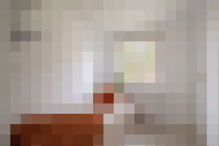Hazzeleger 1 Hurdegaryp thumbnail 31