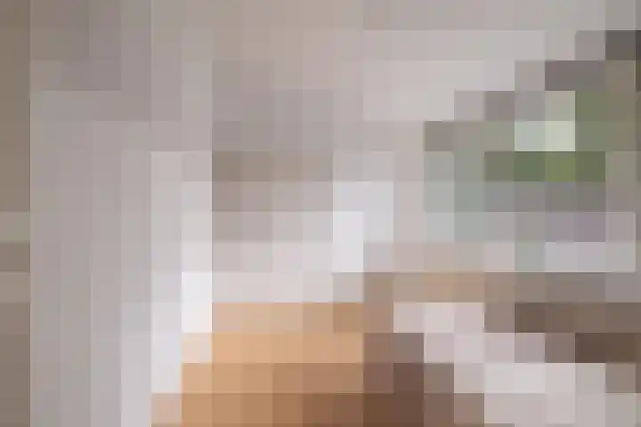 Hazzeleger 1 Hurdegaryp thumbnail 33