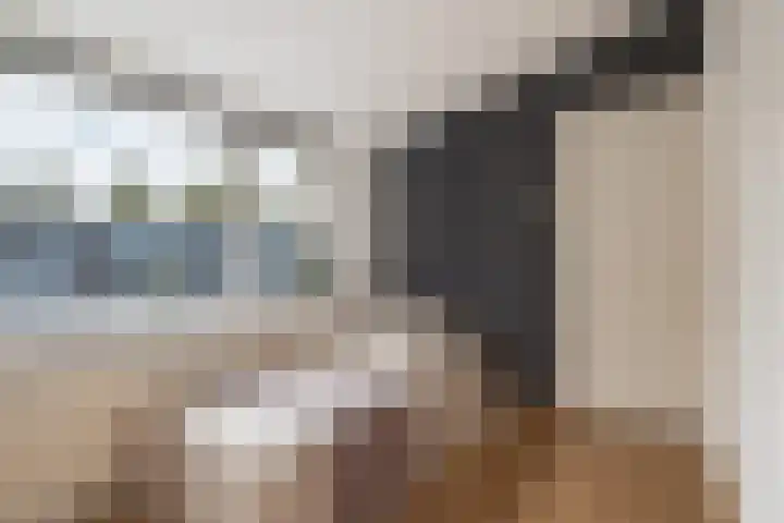 Hazzeleger 1 Hurdegaryp thumbnail 34