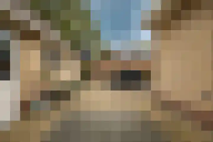 Hazzeleger 1 Hurdegaryp thumbnail 35