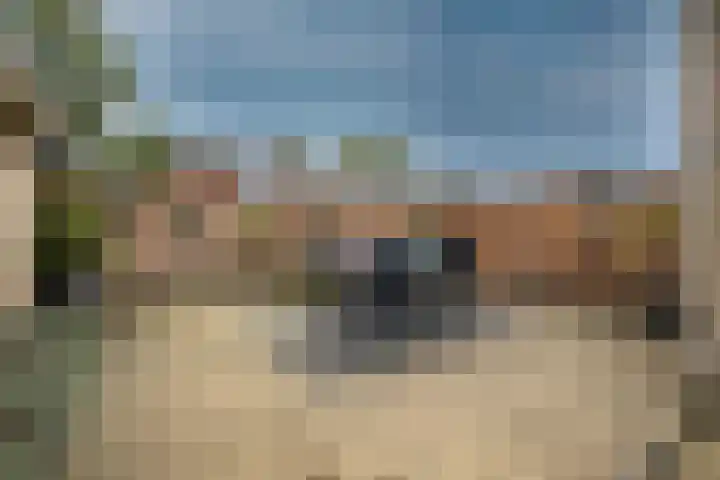 Hazzeleger 1 Hurdegaryp thumbnail 36