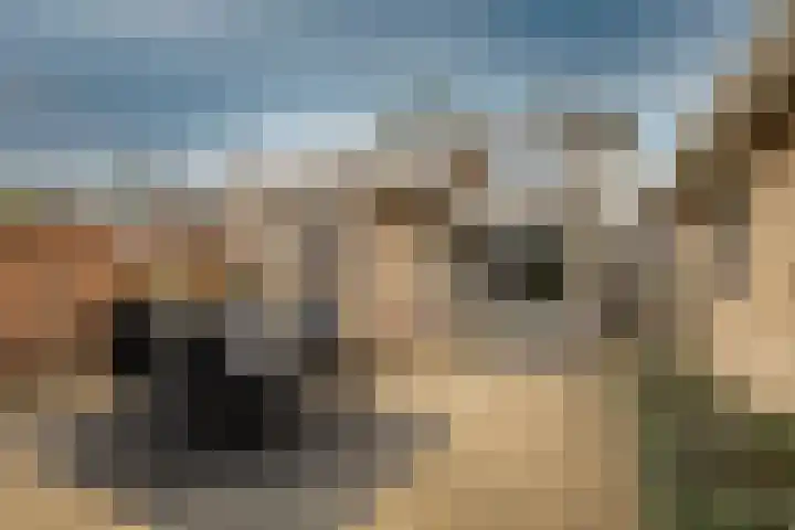 Hazzeleger 1 Hurdegaryp thumbnail 37