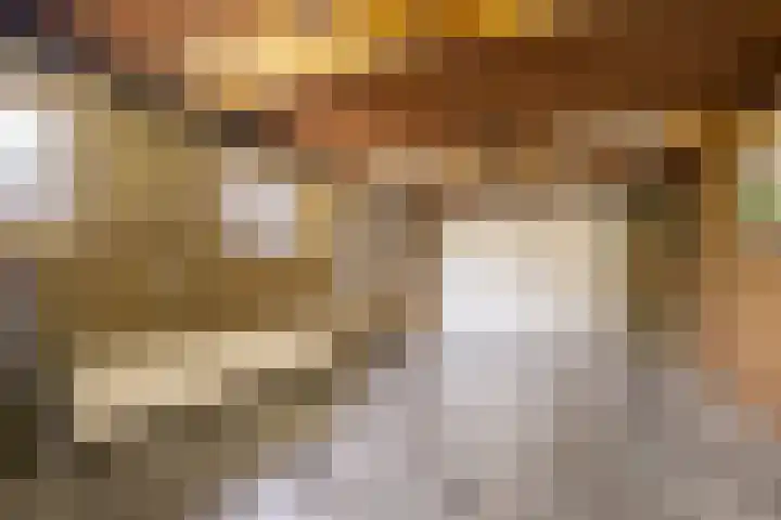 Hazzeleger 1 Hurdegaryp thumbnail 39