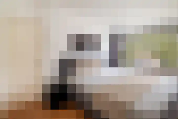 Hazzeleger 1 Hurdegaryp thumbnail 4