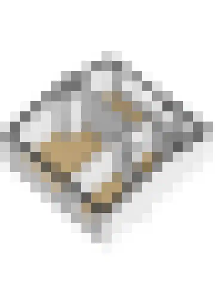 Hazzeleger 1 Hurdegaryp thumbnail 43