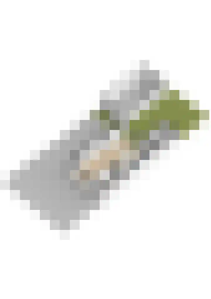 Hazzeleger 1 Hurdegaryp thumbnail 49