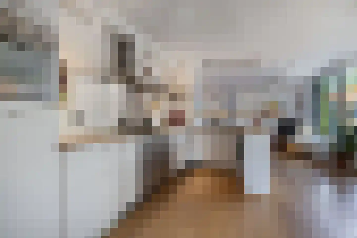 Hazzeleger 11 Beetsterzwaag thumbnail 14