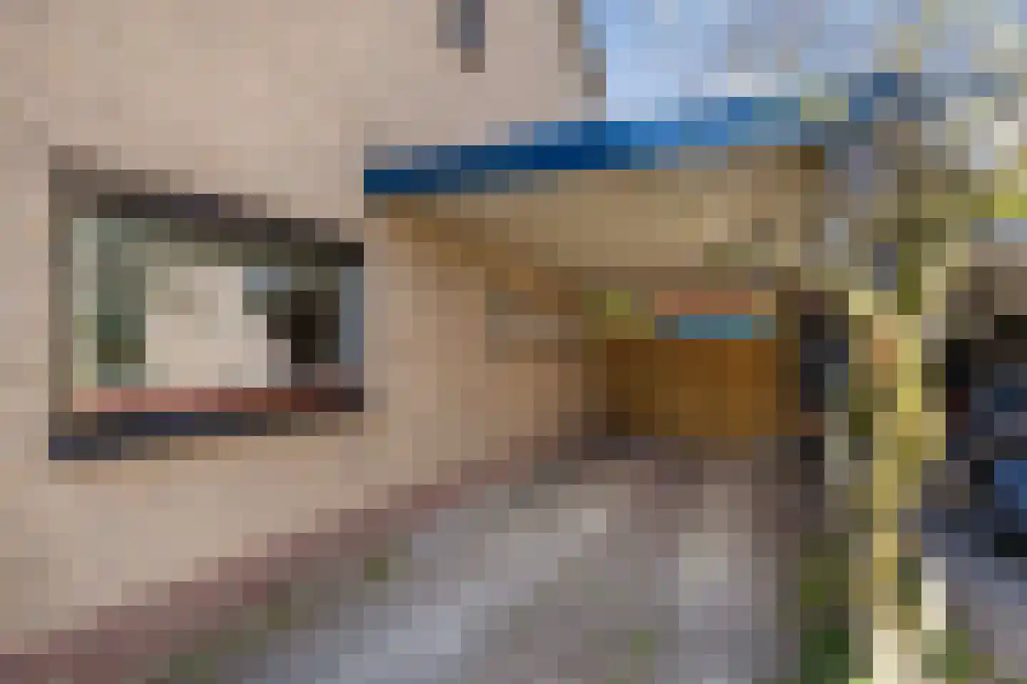 Hazzeleger 11 Beetsterzwaag thumbnail 19