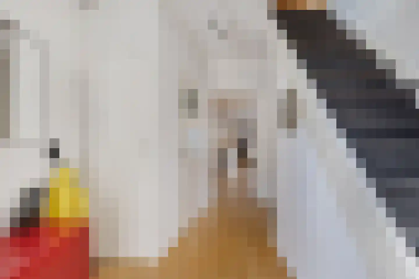 Hazzeleger 11 Beetsterzwaag thumbnail 21