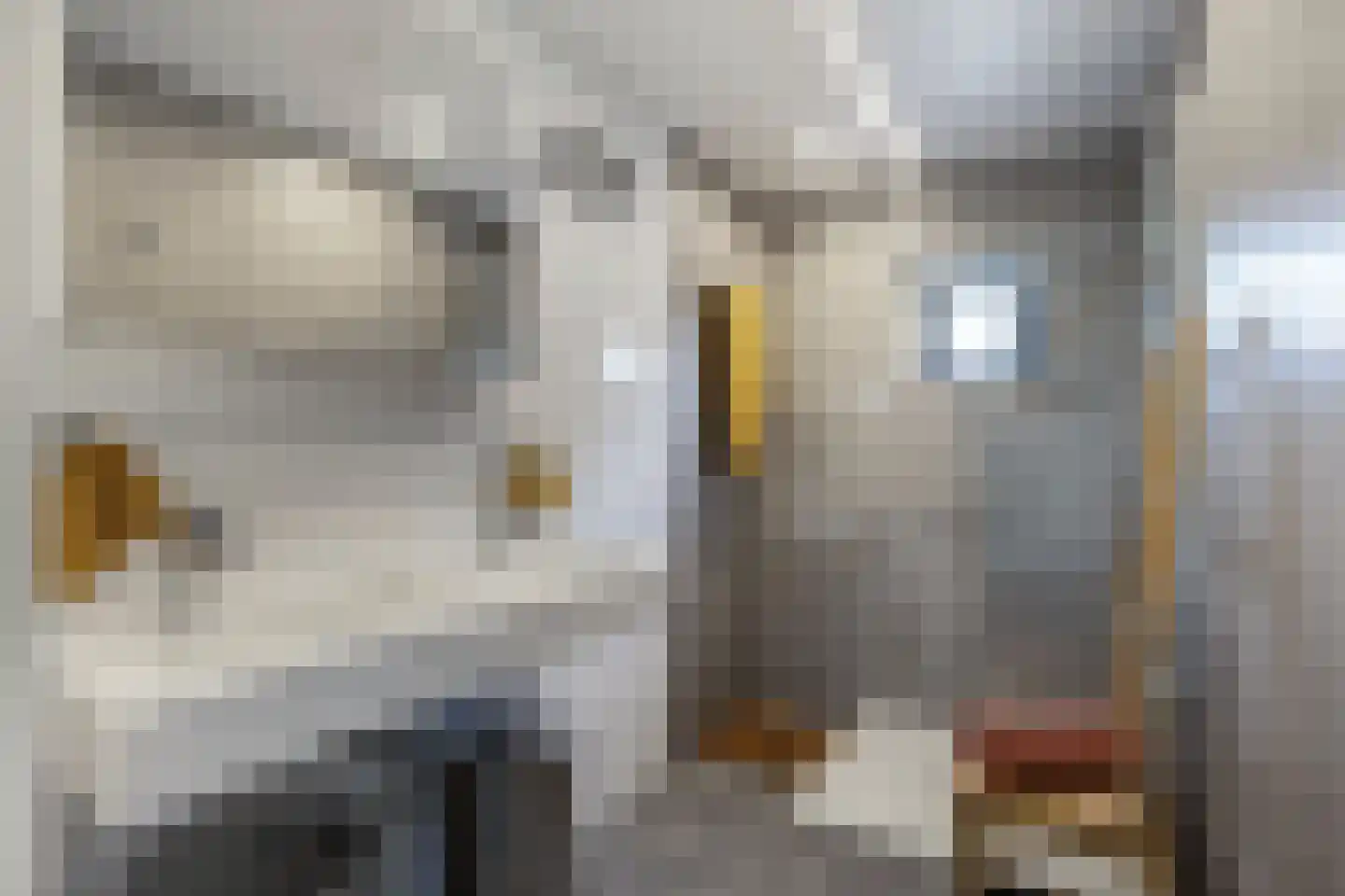 Hazzeleger 11 Beetsterzwaag thumbnail 25