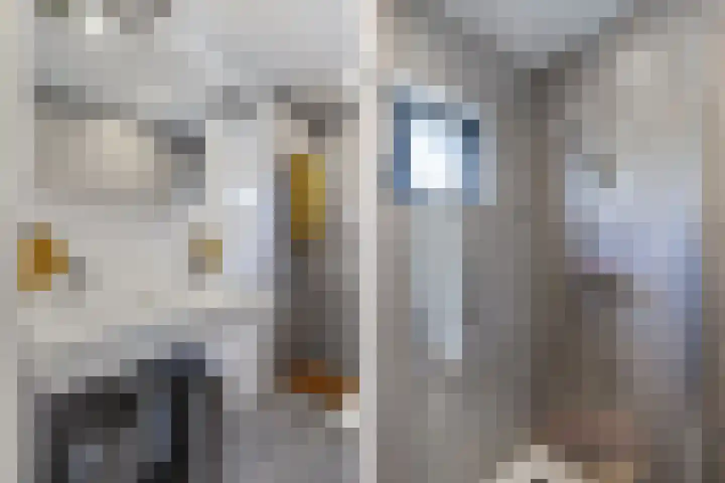 Hazzeleger 11 Beetsterzwaag thumbnail 26