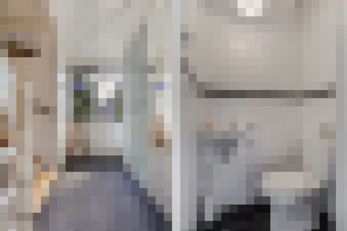 Hazzeleger 11 Beetsterzwaag thumbnail 27