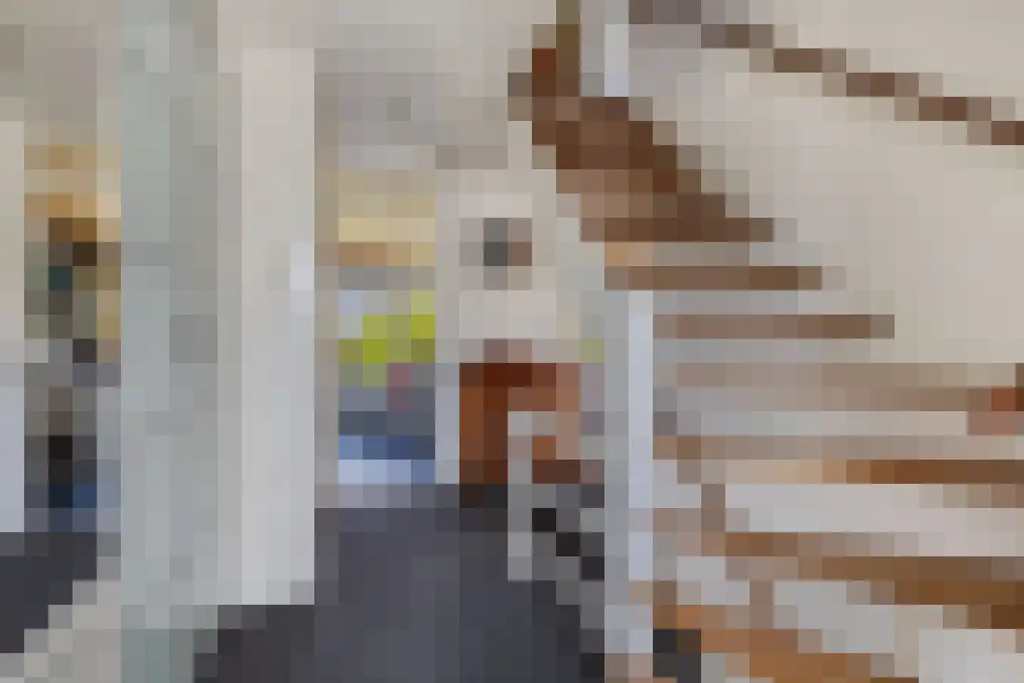 Hazzeleger 11 Beetsterzwaag thumbnail 29