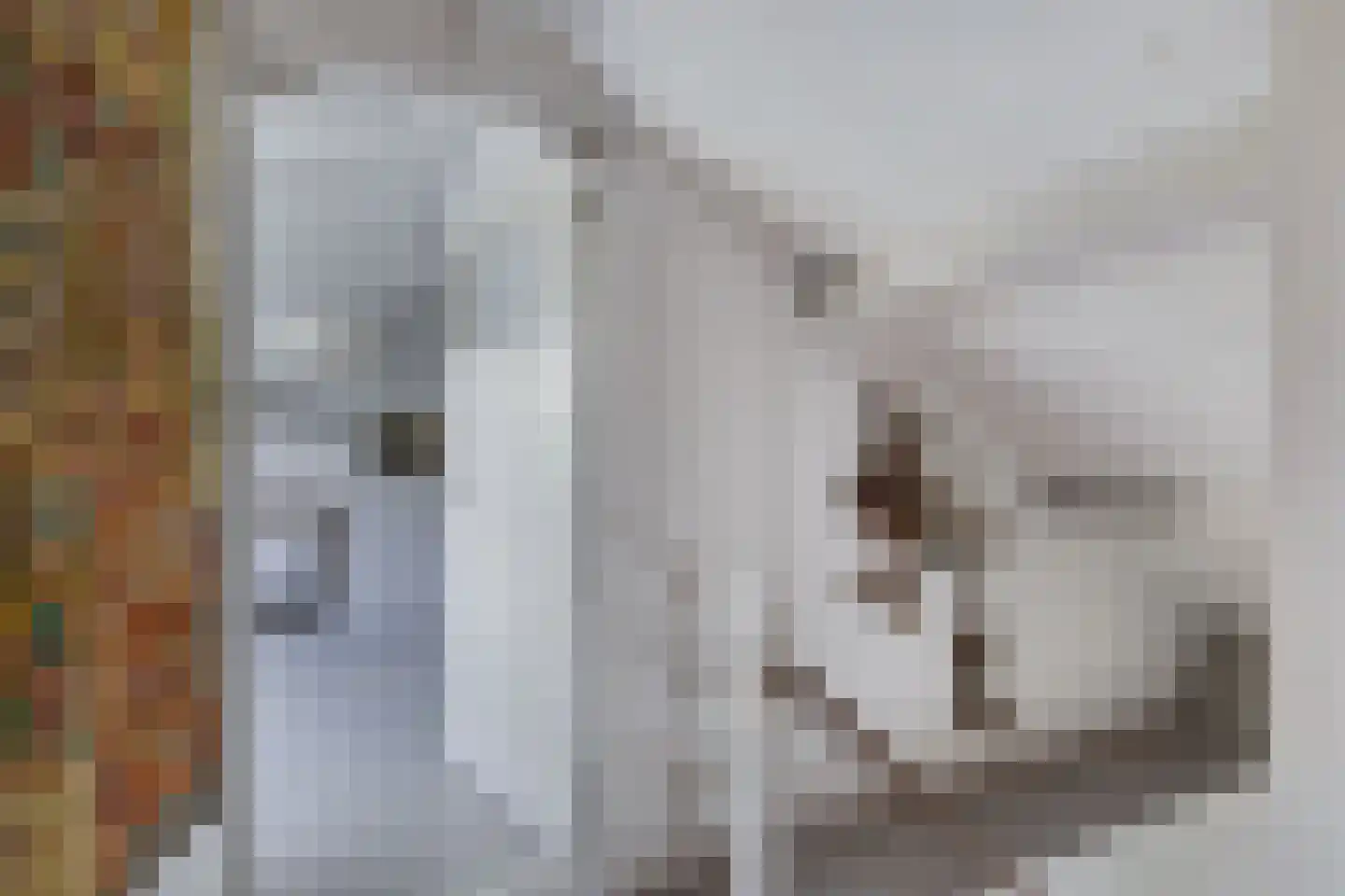Hazzeleger 11 Beetsterzwaag thumbnail 30