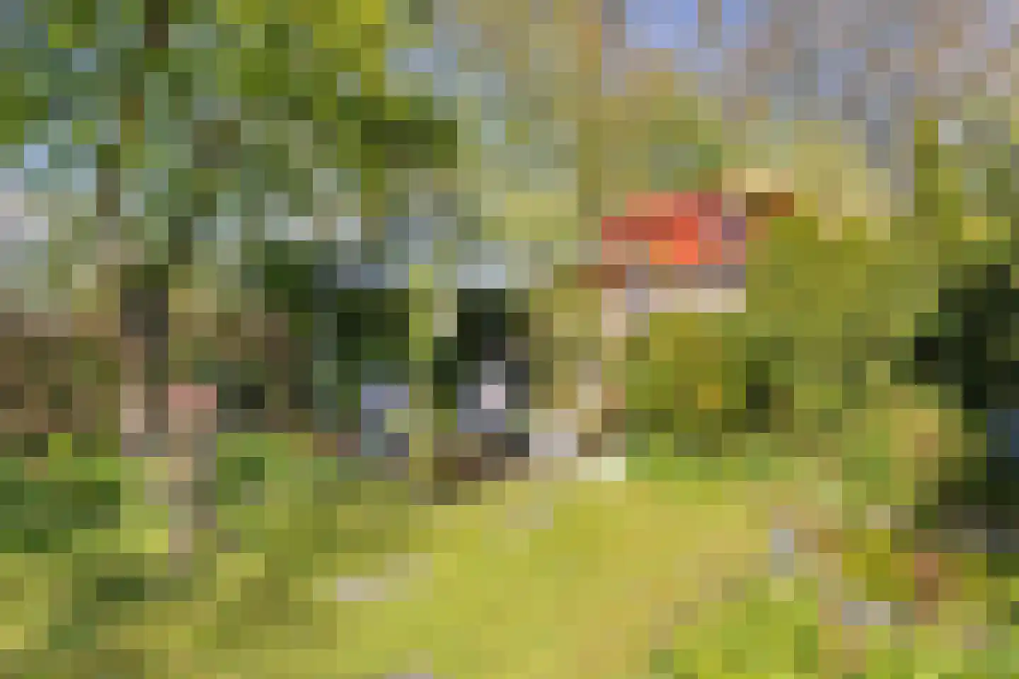Hazzeleger 11 Beetsterzwaag thumbnail 39