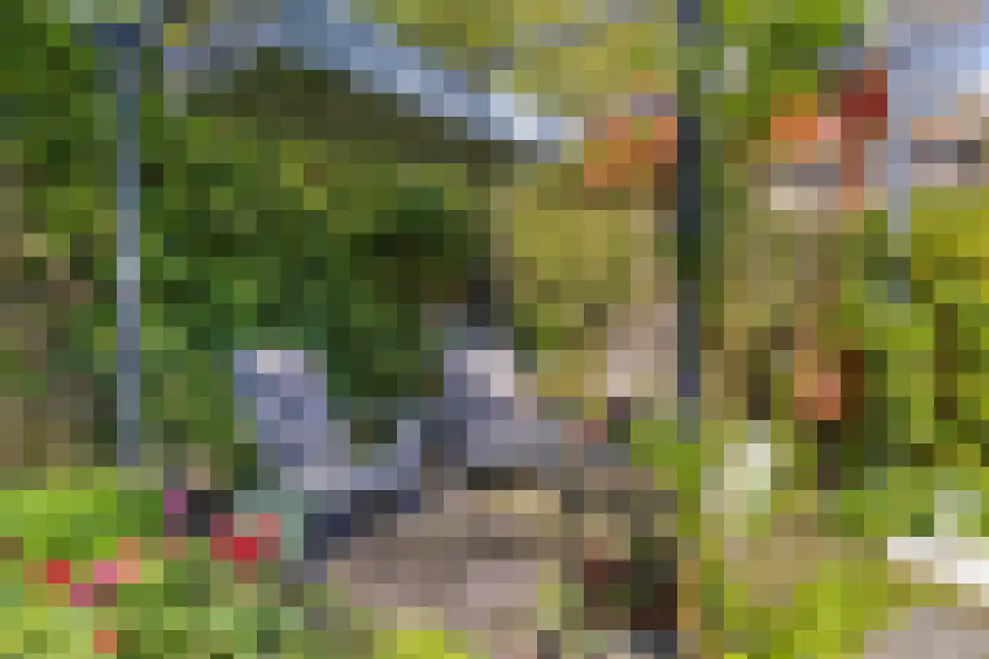 Hazzeleger 11 Beetsterzwaag thumbnail 40