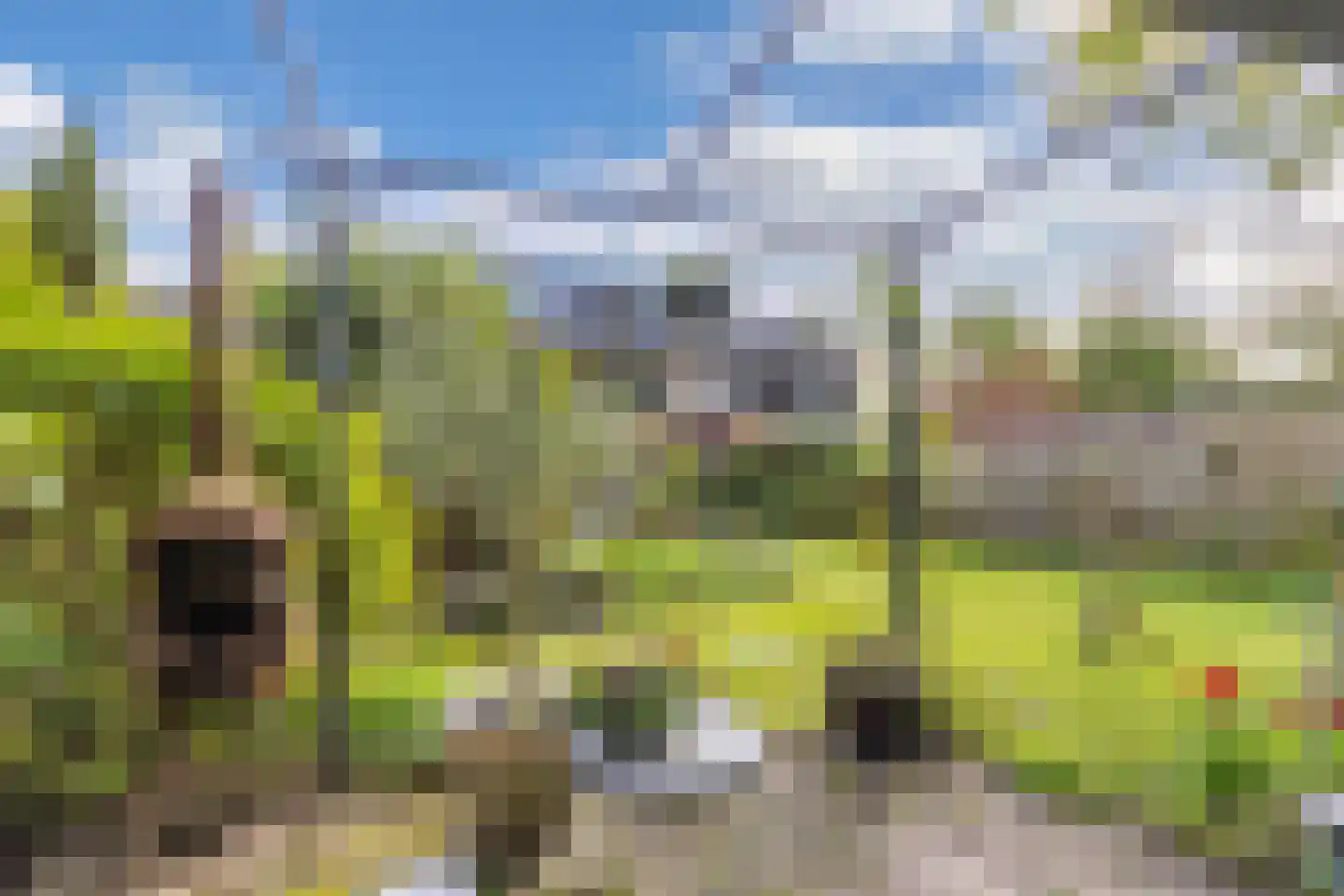 Hazzeleger 11 Beetsterzwaag thumbnail 41
