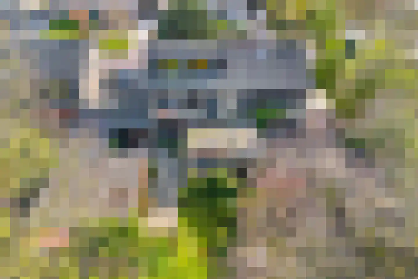 Hazzeleger 11 Beetsterzwaag thumbnail 44