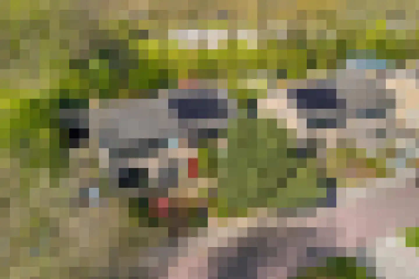 Hazzeleger 11 Beetsterzwaag thumbnail 45