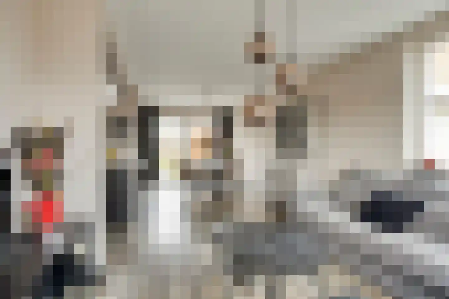 Hazzeleger 11 Hurdegaryp thumbnail 13