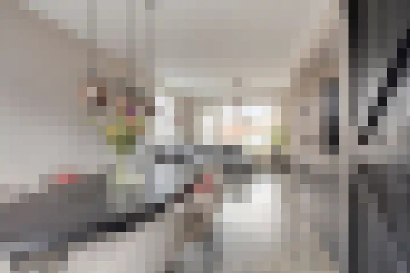 Hazzeleger 11 Hurdegaryp thumbnail 15
