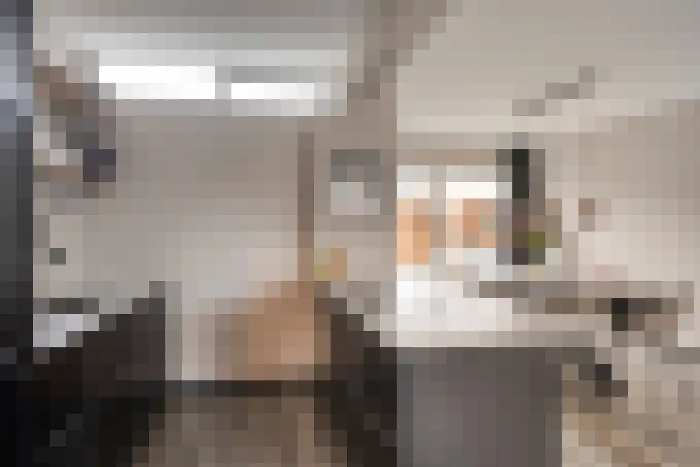 Hazzeleger 11 Hurdegaryp thumbnail 19