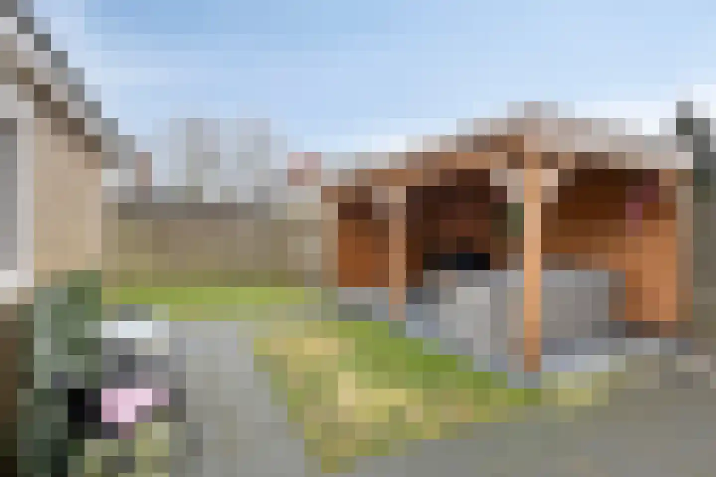Hazzeleger 11 Hurdegaryp thumbnail 6