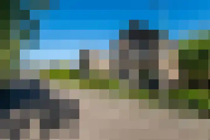 Hazzeleger 8 Hurdegaryp thumbnail 10