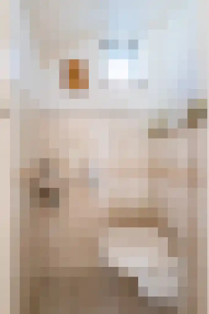 Hazzeleger 8 Hurdegaryp thumbnail 14