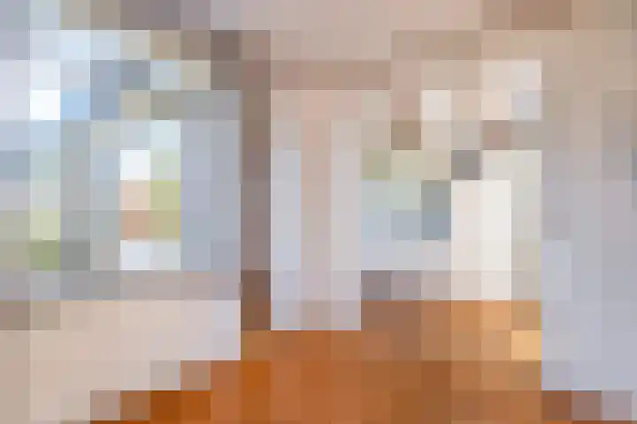 Hazzeleger 8 Hurdegaryp thumbnail 15
