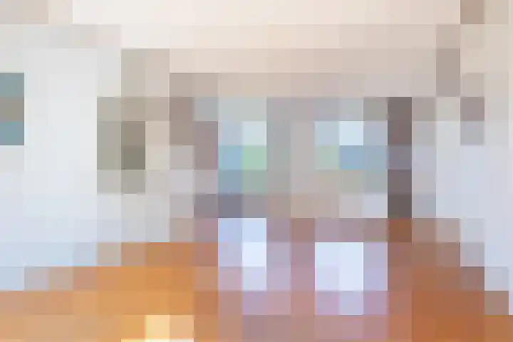 Hazzeleger 8 Hurdegaryp thumbnail 20