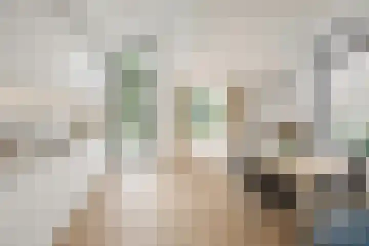 Hazzeleger 8 Hurdegaryp thumbnail 22