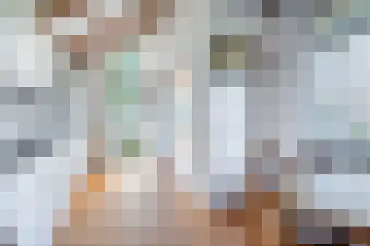 Hazzeleger 8 Hurdegaryp thumbnail 23