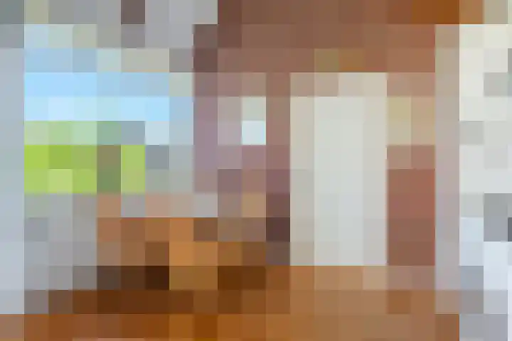 Hazzeleger 8 Hurdegaryp thumbnail 25