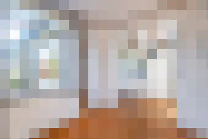 Hazzeleger 8 Hurdegaryp thumbnail 28