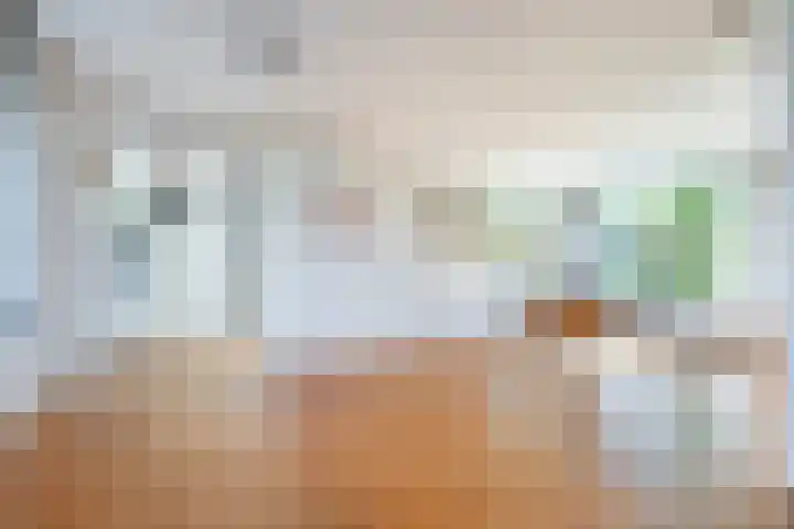 Hazzeleger 8 Hurdegaryp thumbnail 30