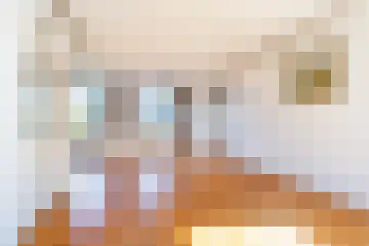 Hazzeleger 8 Hurdegaryp thumbnail 35