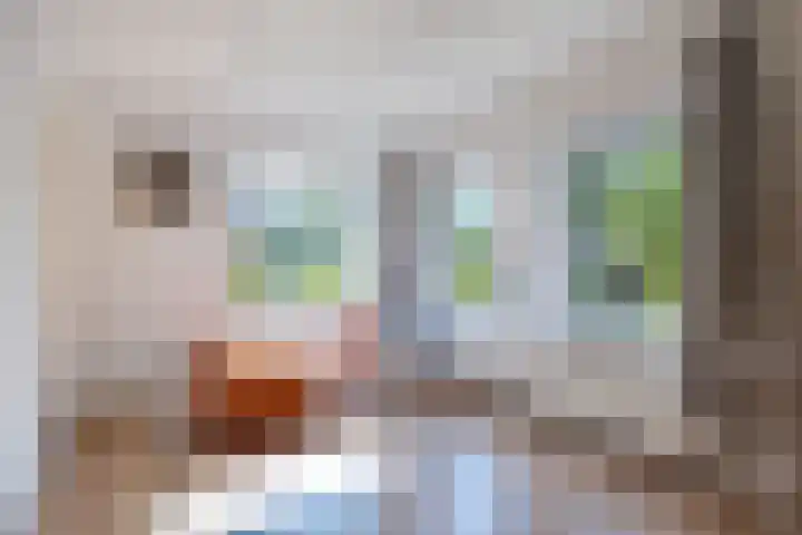Hazzeleger 8 Hurdegaryp thumbnail 40