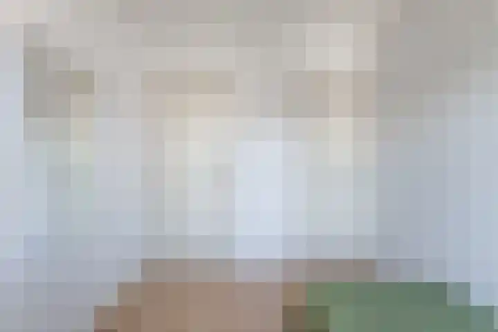 Hazzeleger 8 Hurdegaryp thumbnail 42