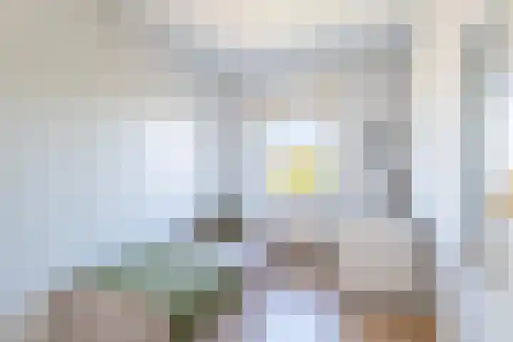 Hazzeleger 8 Hurdegaryp thumbnail 43