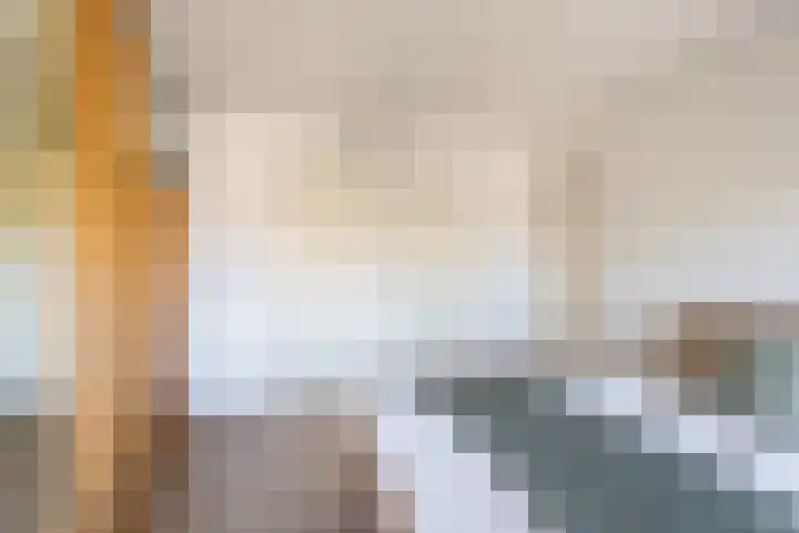 Hazzeleger 8 Hurdegaryp thumbnail 44