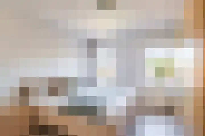 Hazzeleger 8 Hurdegaryp thumbnail 45
